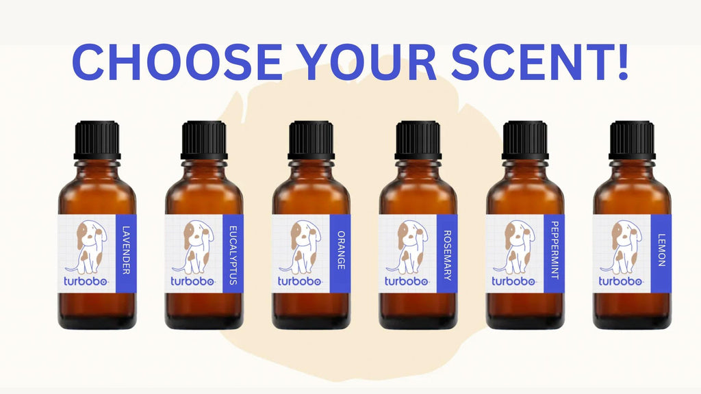 Essential Oil—3 pack (mixed)
